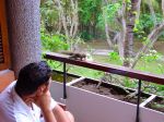 Όνομα αρχείου=balcony-squirrel.jpg
Μέγεθος αρχείου=91KB
Διαστάσεις=640x480
Ημερομηνία προσθήκης=Aυγ 09, 2004 balcony-squirrel.jpg
