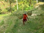 Όνομα αρχείου=happy-farmer.jpg
Μέγεθος αρχείου=102KB
Διαστάσεις=640x480
Ημερομηνία προσθήκης=Aυγ 09, 2004 happy-farmer.jpg