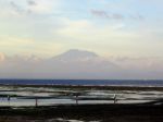 Όνομα αρχείου=low-tide-and-nusa-penida.jpg
Μέγεθος αρχείου=43KB
Διαστάσεις=640x480
Ημερομηνία προσθήκης=Aυγ 09, 2004 low-tide-and-nusa-penida.jpg