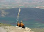 Όνομα αρχείου=kitheron050424-5.JPG
Μέγεθος αρχείου=114KB
Διαστάσεις=1024x768
Ημερομηνία προσθήκης=Aπρ 26, 2005 kitheron050424-5.JPG