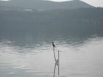 Όνομα αρχείου=DSCN3201.JPG
Μέγεθος αρχείου=26KB
Διαστάσεις=640x480
Ημερομηνία προσθήκης=Ιαν 14, 2004 DSCN3201.JPG
