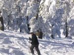 Όνομα αρχείου=IMG_1806.JPG
Μέγεθος αρχείου=124KB
Διαστάσεις=800x600
Ημερομηνία προσθήκης=Δεκ 29, 2003 IMG_1806.JPG
