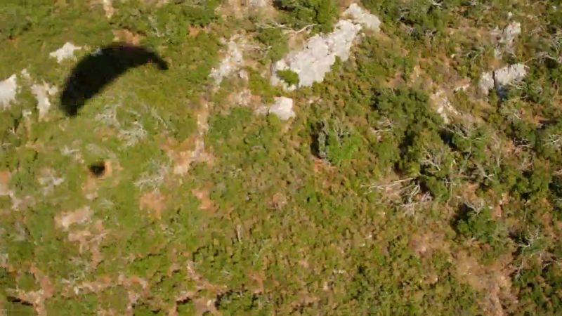 Κάντε κλικ για να δείτε την εικόνα σε πλήρες μέγεθος