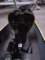 dsc033192_small.jpg
