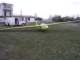 p1010081_small.jpg