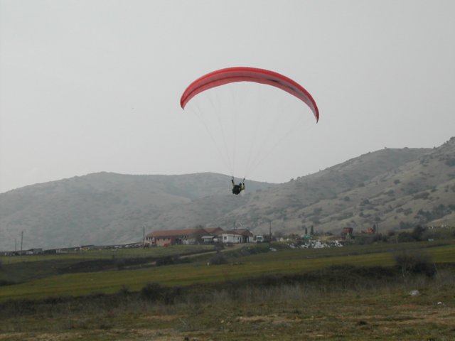 elasona03081.jpg