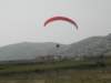 elasona03081_small.jpg